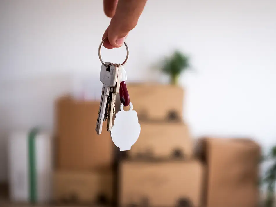 Professionelle Haushaltsauflösung und Reinigung nach Auszug durch HomeHive in Geestland – besenreine Übergabe von Wohnungen und Häusern.